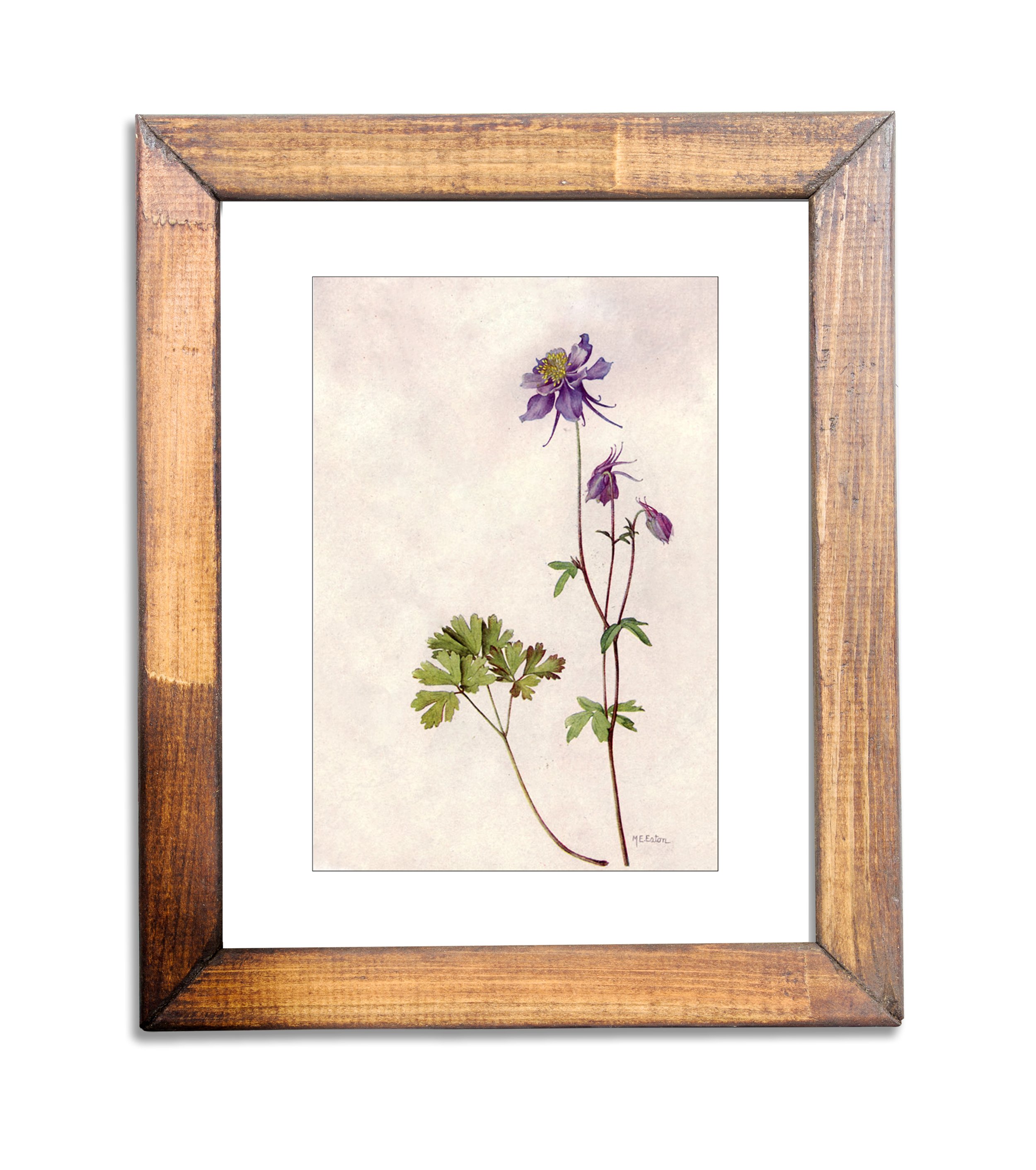 Columbine+print+in+frame+for+